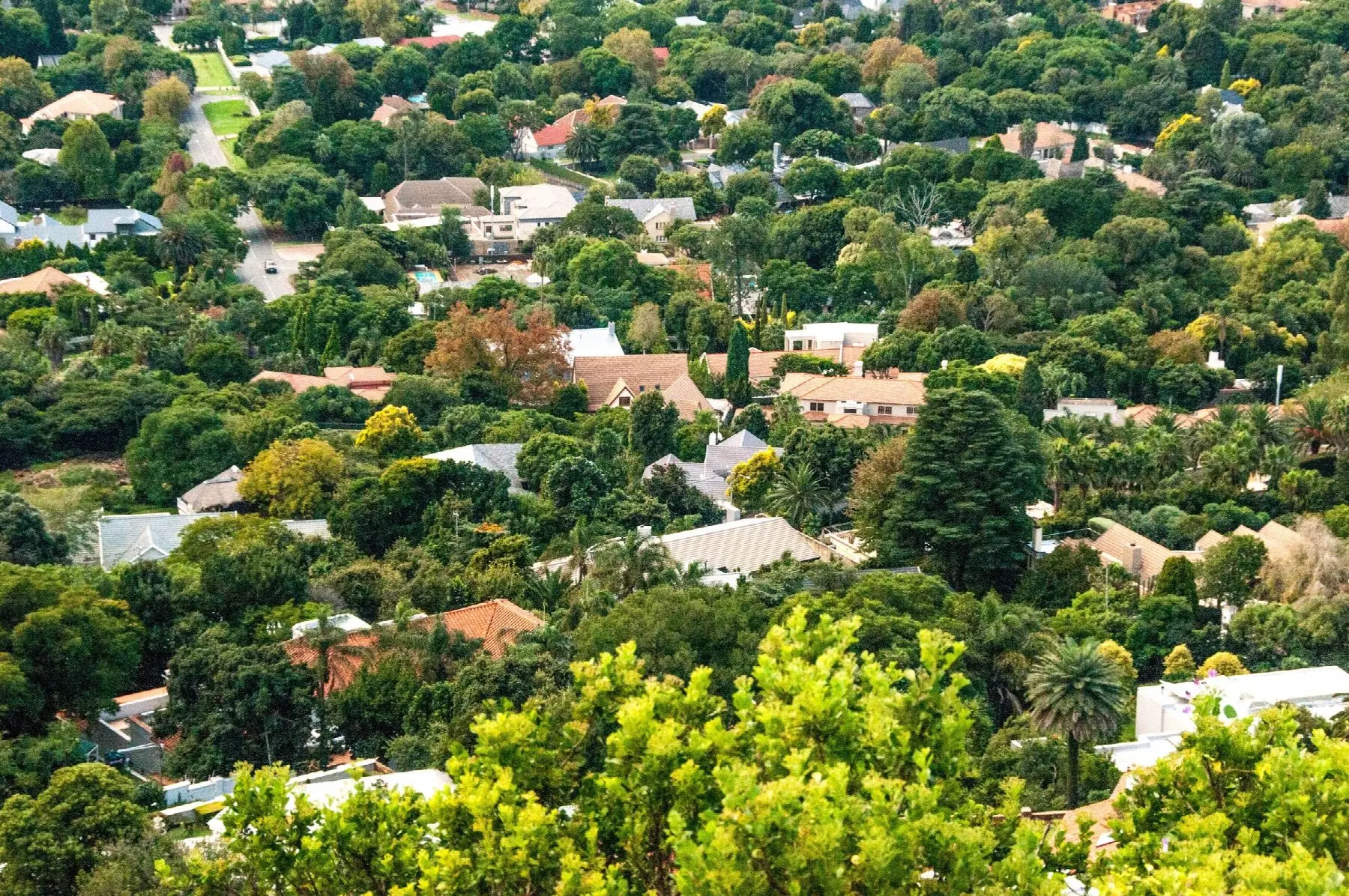 A leafy suburb of family homes with tiled roofs, seen from the hillside above